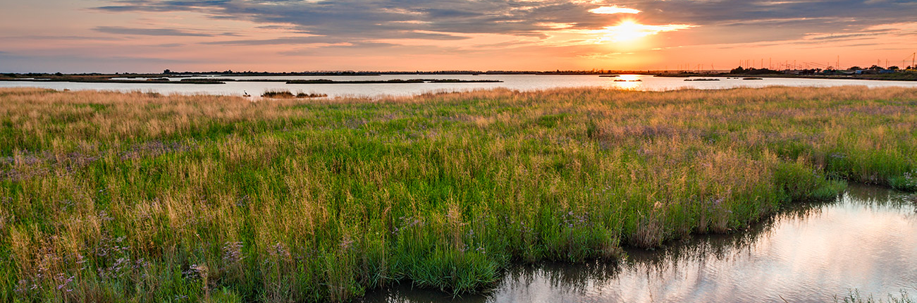 comacchio-01