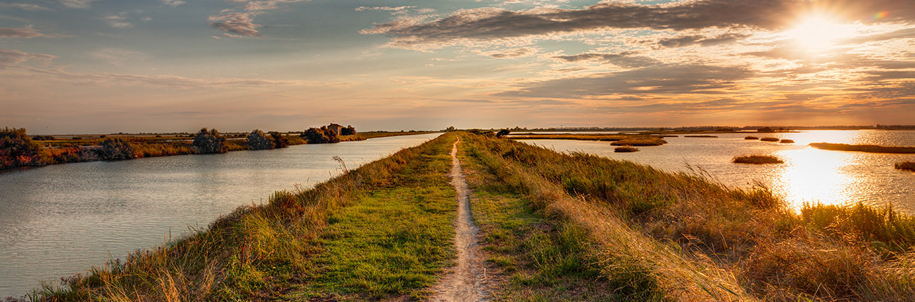comacchio-02