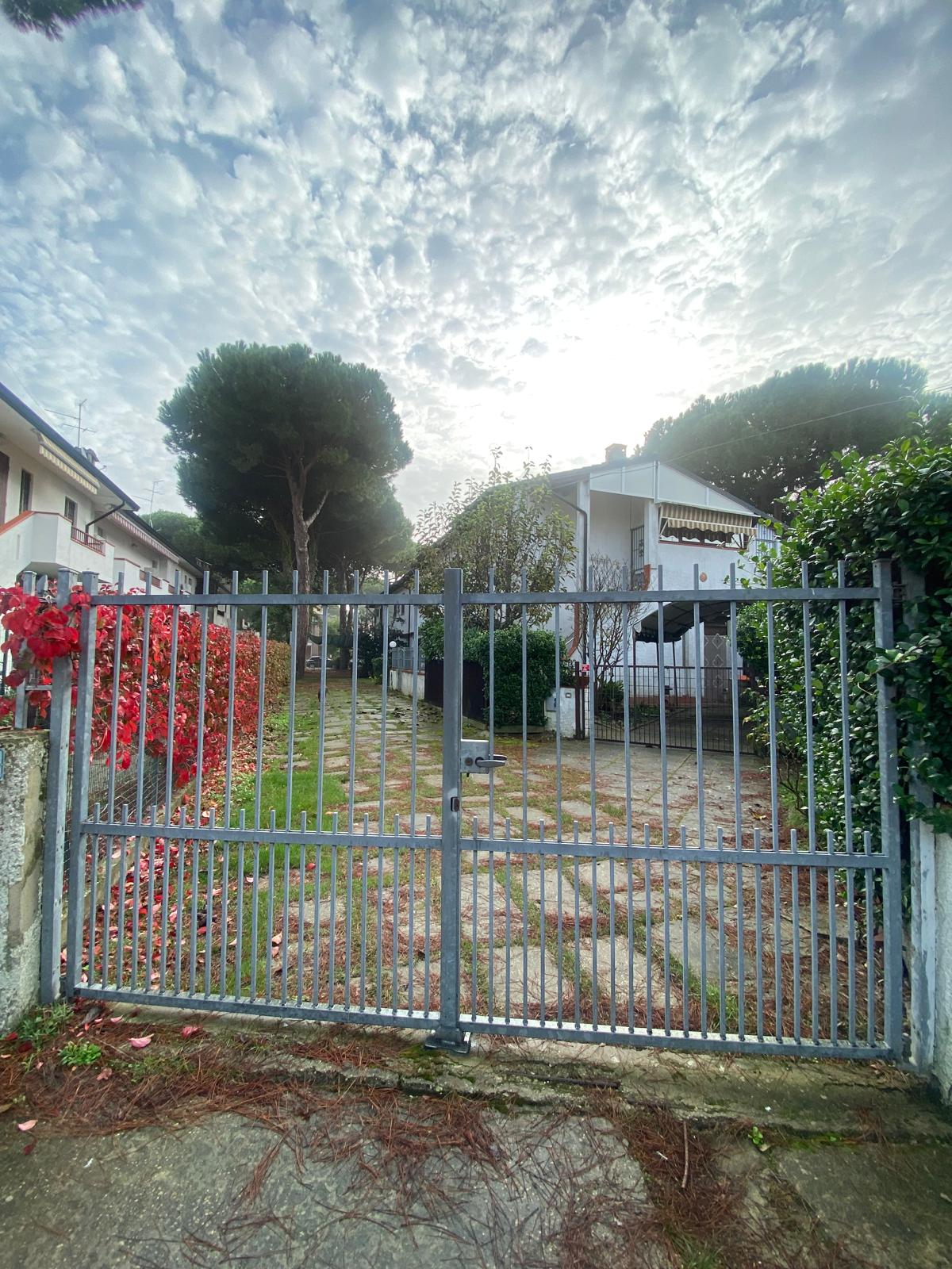IMG-20241026-WA0151